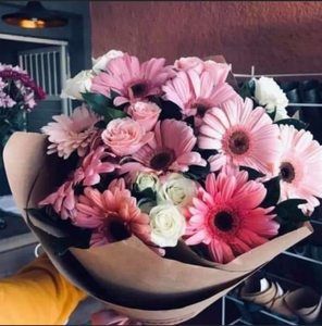 Meet your Posher, Monica